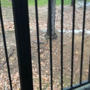 Meet your Posher, Nan